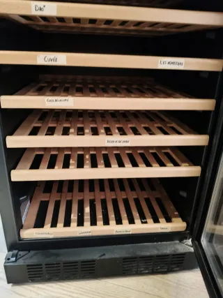 Nevera regulable para vinos, vinoteca, cava