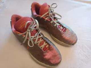 Zapatillas baloncesto Nike