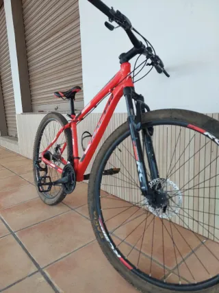 Bicicleta Montaña 29