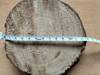 Rodajas de madera para manualidades