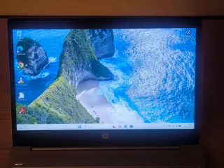 Portátil HP ProBook 455 G7 Argento