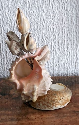 Set marinero de tenedores con conchas