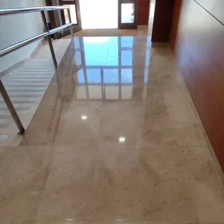 Pintor y pulidor de suelos