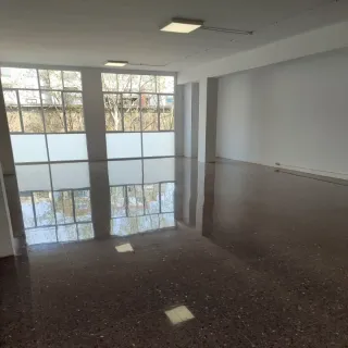 Pintor y pulidor de suelos