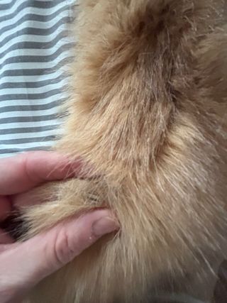 Chaleco pelo Stella Rittwagen Talla L-XL