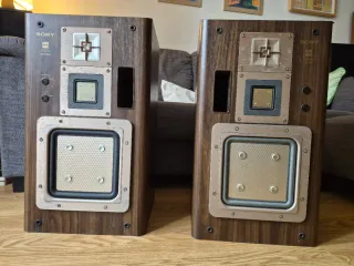 Altavoces Sony APM 66ES