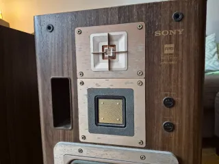 Altavoces Sony APM 66ES