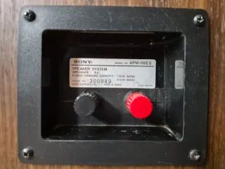 Altavoces Sony APM 66ES