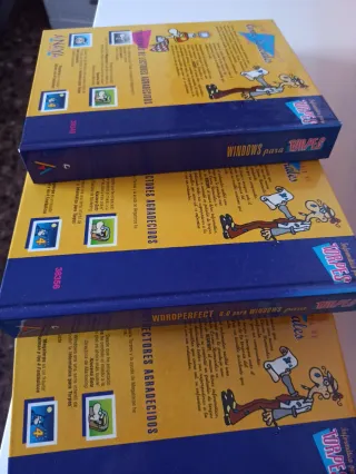 Introduccion a la informatica para torpes.