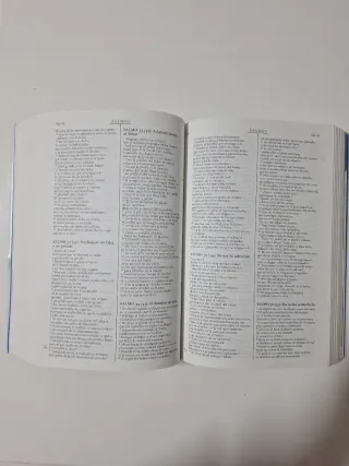 La Biblia didáctica