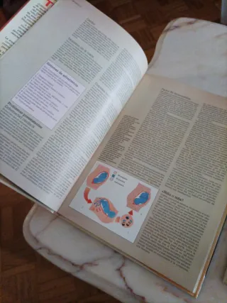 Libros Maternidad Tu Bebé y Embarazo y Parto