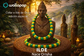 Collar e Ilde de Orula Ed. Especial. Santeria/Ifa