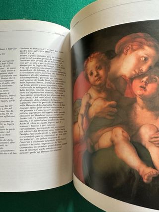 Pontormo e il suo tempo (Italian Edition)