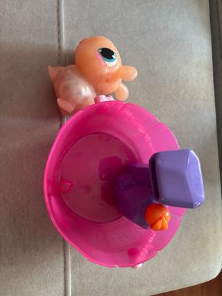 Spa Capibara con luces