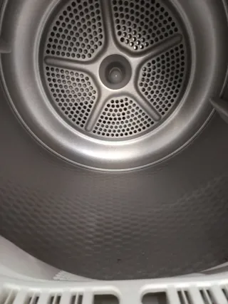 Secadora Balay 7kg Carga