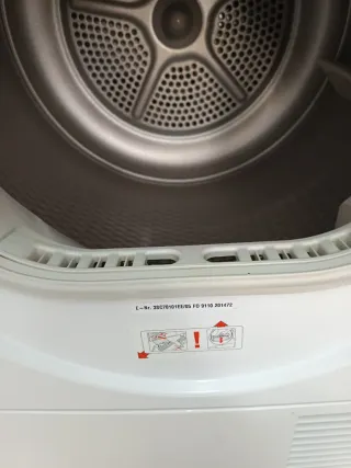 Secadora Balay 7kg Carga