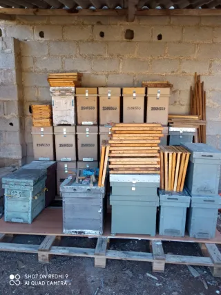 Colmenas Layens 35 y 15 Dadant