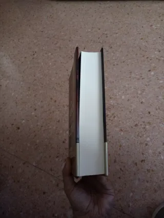 En el amor y en la guerra (La catedral del mar 3)