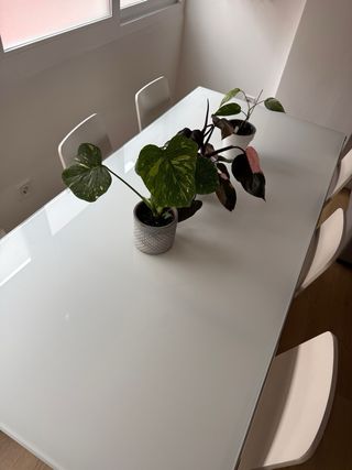 Mesa Comedor Cristal y Metal con 6 Sillas