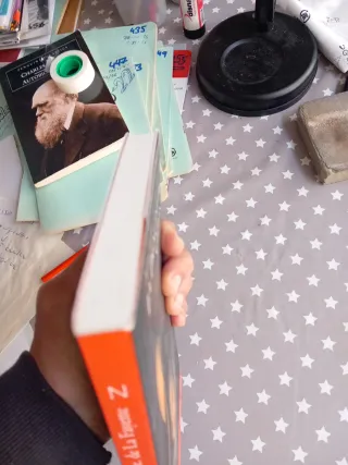 La Princesa de Clèves