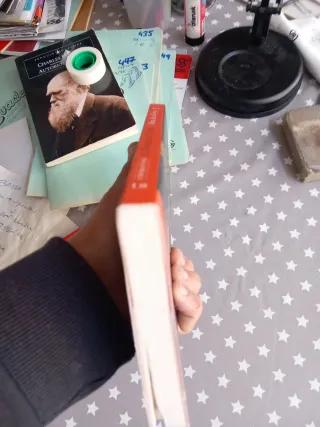 La Princesa de Clèves