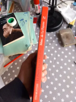 La Princesa de Clèves