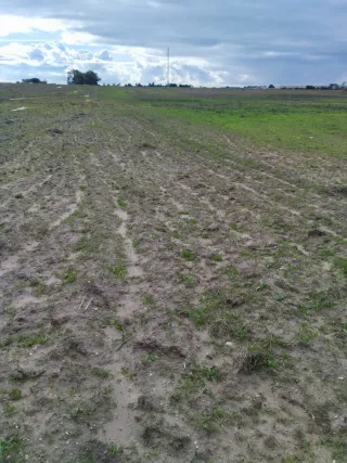 Parcela agrícola de tierra arable de regadío, Rota