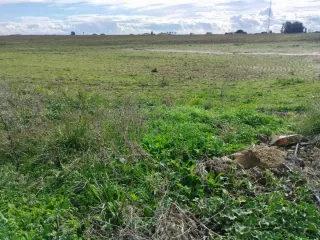 Parcela agrícola de tierra arable de regadío, Rota