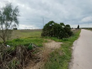 Parcela agrícola de tierra arable de regadío, Rota