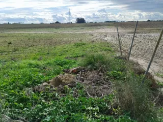 Parcela agrícola de tierra arable de regadío, Rota