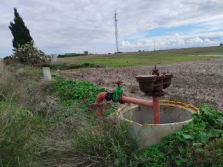 Parcela agrícola de tierra arable de regadío, Rota