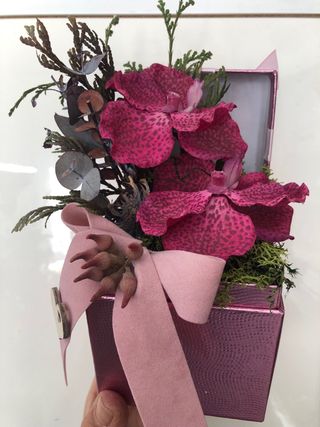 Caja de Orquídeas Rosa