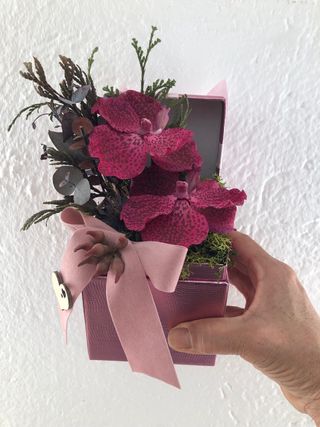 Caja de Orquídeas Rosa