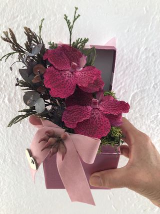 Caja de Orquídeas Rosa