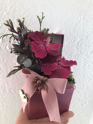 Caja de Orquídeas Rosa