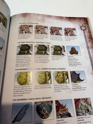 Warhammer Age of Sigmar: La Ira del Elegido