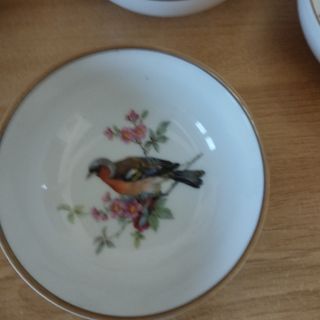 4 Cuencos Porcelana Kaiser Colección Pájaros