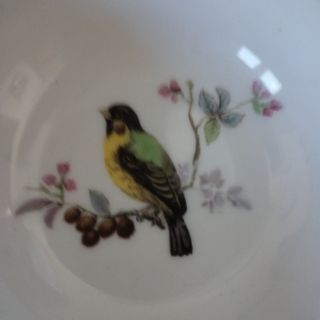 4 Cuencos Porcelana Kaiser Colección Pájaros