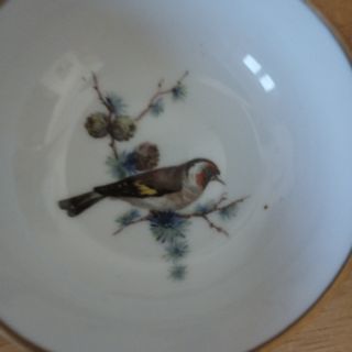 4 Cuencos Porcelana Kaiser Colección Pájaros