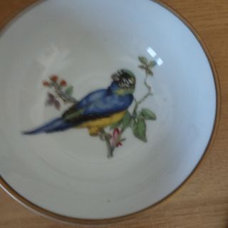 4 Cuencos Porcelana Kaiser Colección Pájaros