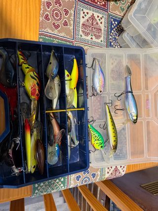 Caja de señuelos de pesca para depredadores