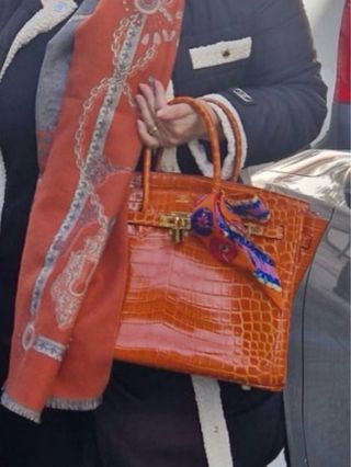 Bolso Hermès Naranja Cocodrilo
