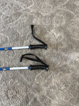 Bastones de esquí azules