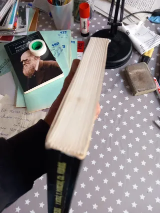 L'ordre dans le chaos