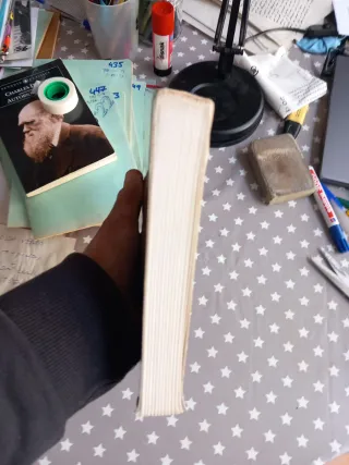 L'ordre dans le chaos