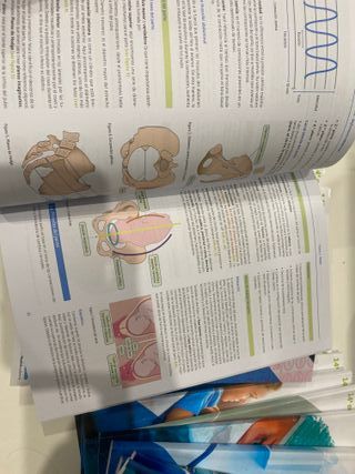 Manuales EIR AMIR 14ª Edición