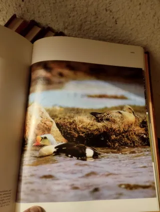 Coleccion. FAUNA IBERICA. EL HOMBRE Y LA TIERRA
