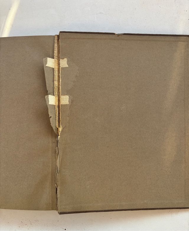 Libro 1927 con 60 laminas Joyas Pintura Religiosa