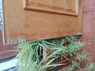 Puerta blindada madera 202x83 cm