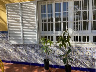 Rejas de seguridad para ventanas. Varios tamaños.